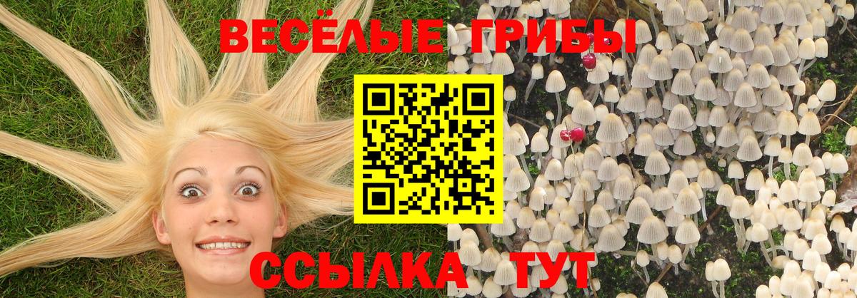 Псилоцибиновые грибы ЛСД  Псилоцибиновые грибы Psilocybe  Вход с VPN  закладки  Добрянка 